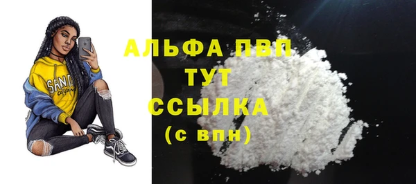 индика Армянск