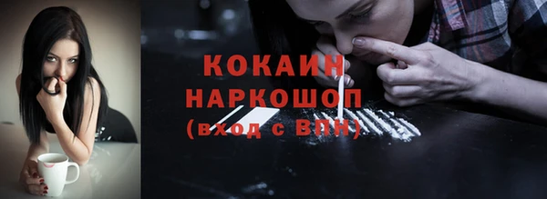 индика Армянск