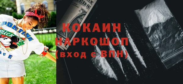 индика Армянск