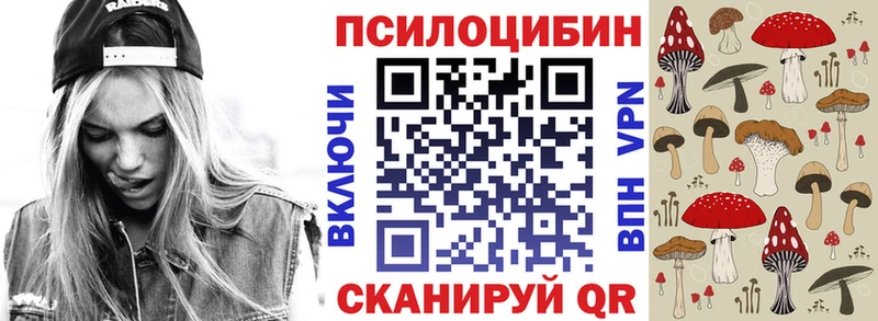 Псилоцибиновые грибы Cubensis  Купить где  Мамадыш 
